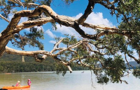 Family Accommodation Tiona NSW Waterfront