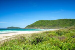 visit forster nsw