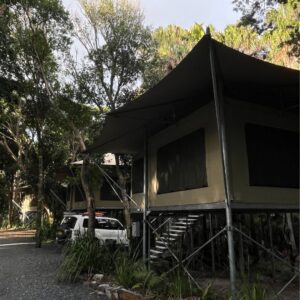 Treehouse Glamping