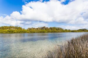Wallis Lake - Landscape