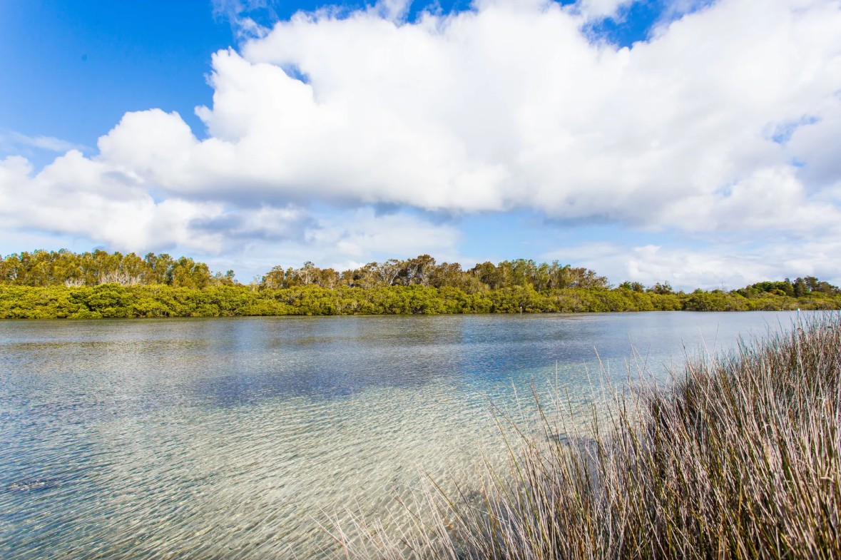 Wallis Lake – Landscape Wallis Lake - Landscape