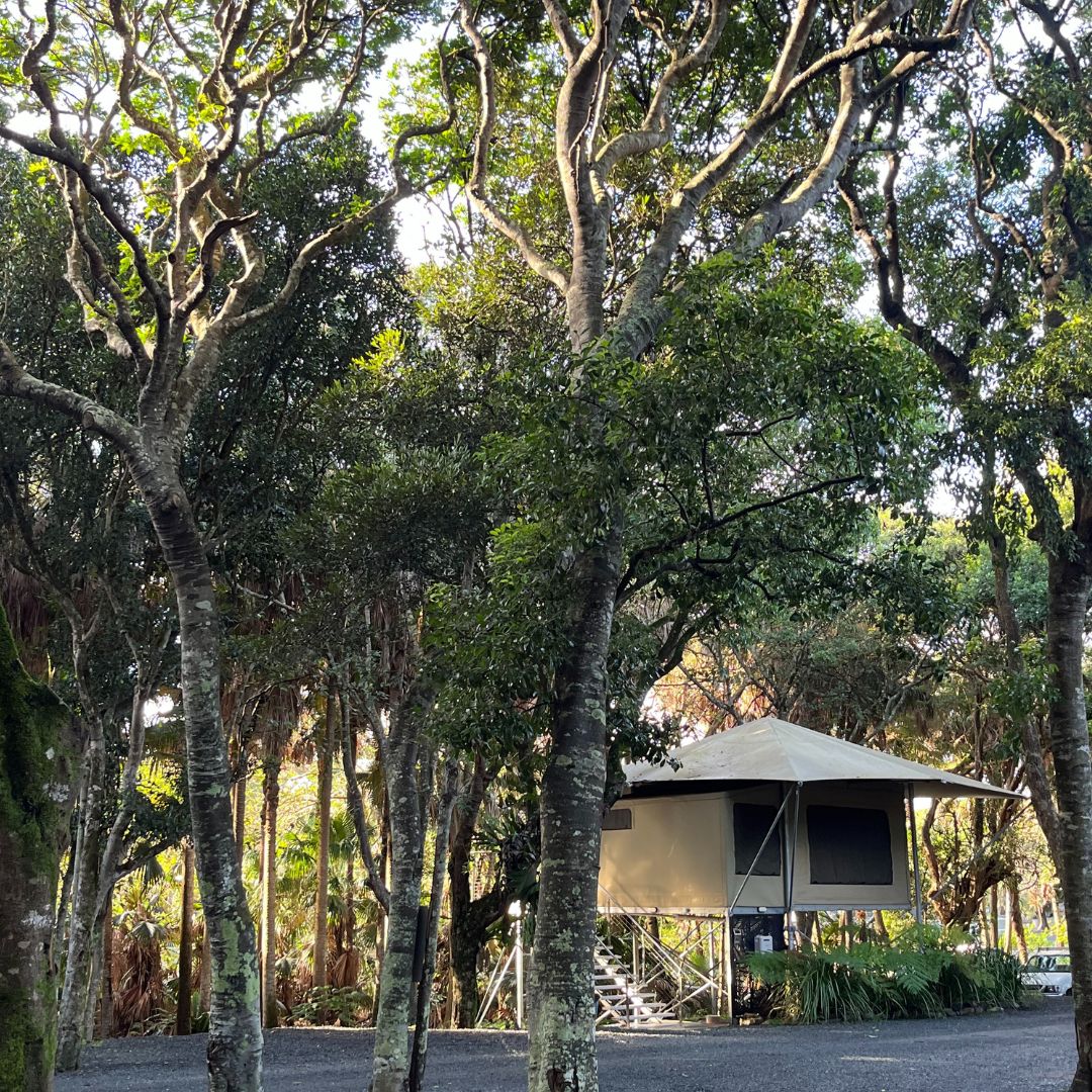 Glamping vs Camping