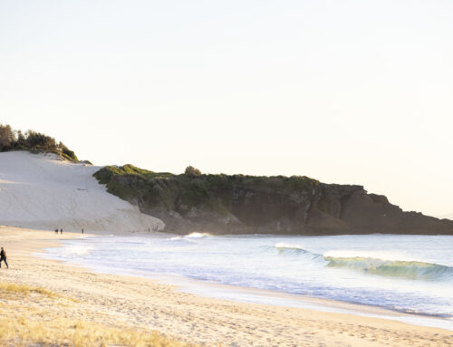 A Day Trip to Forster: What Not to Miss