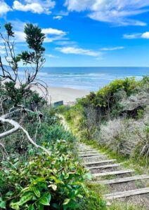 Booti Booti Hill Walk