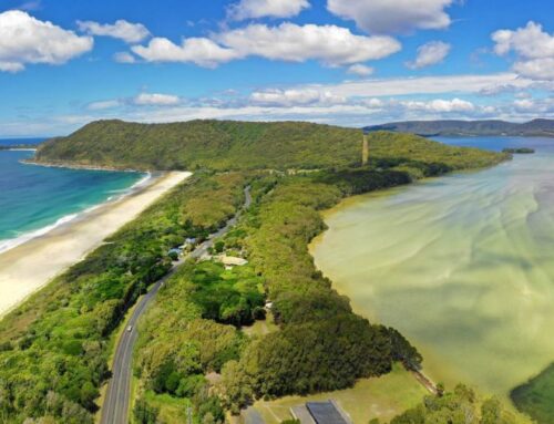 Exploring Booti Booti National Park: A Visitor’s Guide