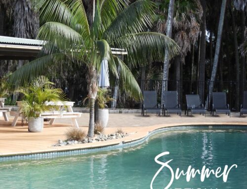 Summer at Tiona: Sunshine, Slow Mornings & Lakefront Adventures