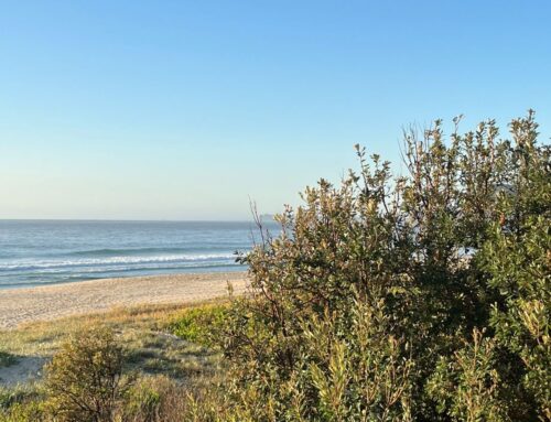 Walk, Sip & Explore Pacific Palms