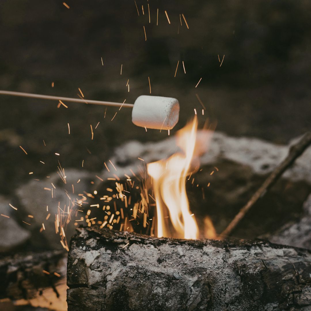 Toasted Marshmallows